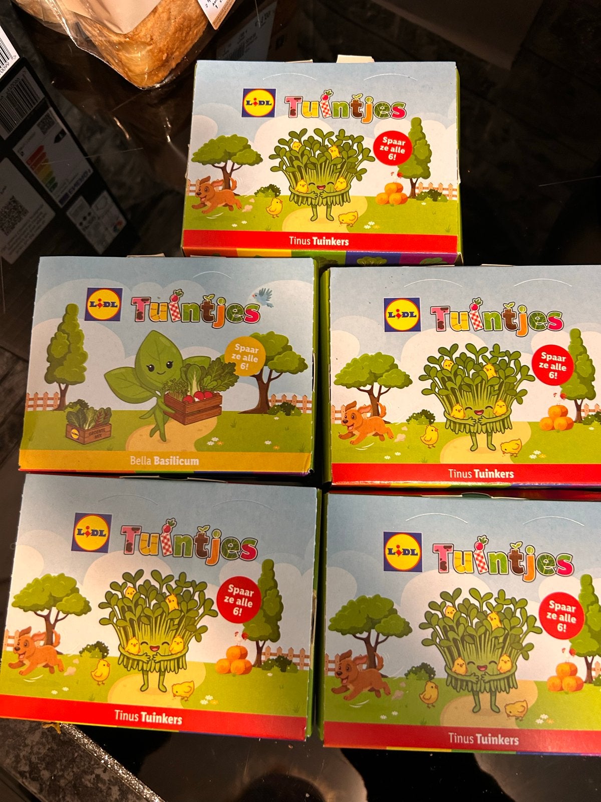Lidl Tuintjes - Spaar ze alle 6!, Hobby en Vrije tijd, Ophalen, Nieuw, Meerkleurig, Natuur en Bloemen