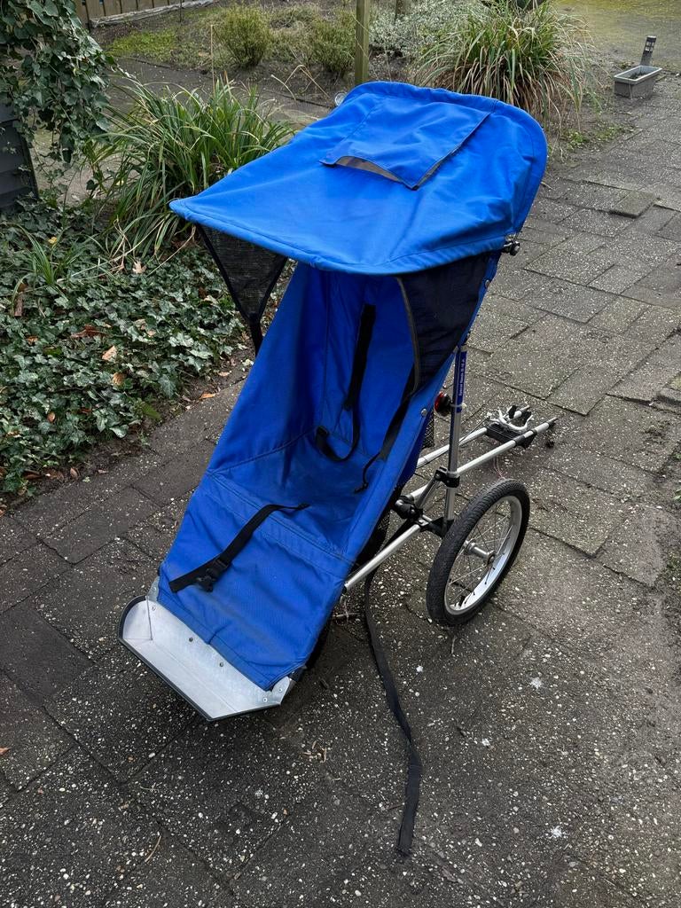 Fietskar / Hondenkar / Kinderkar 3-wieler buggy kinderwagen, Ophalen of Verzenden, Gebruikt, Kinderkar, 20 tot 40 kg