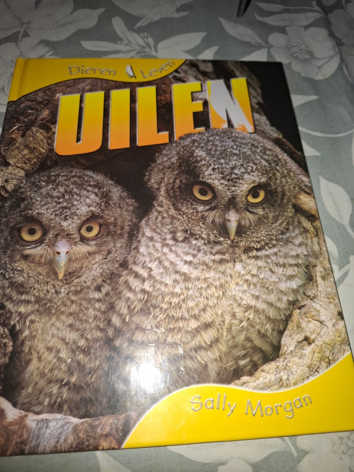 Dieren & Leven: Uilen - Ontdek de fascinerende wereld, Boeken, Natuur, Ophalen of Verzenden, Zo goed als nieuw, Vogels, Sally Morgan