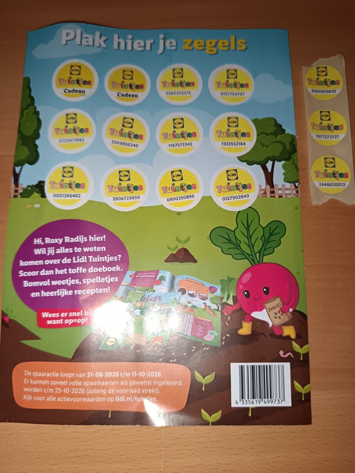 LIDL Spaaractie Tuintjes VOLLE KAART & 3!, Lidl, Ophalen