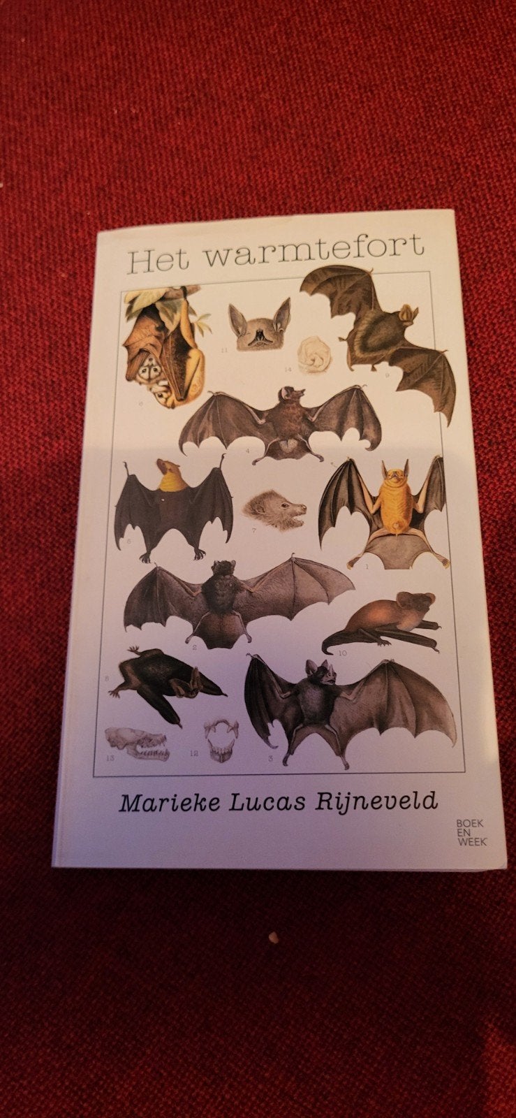 Het warmtefort - Marieke Lucas Rijneveld (Boekweek), Ophalen of Verzenden, Zo goed als nieuw, Marieke Lucas Rijneveld, Nederland