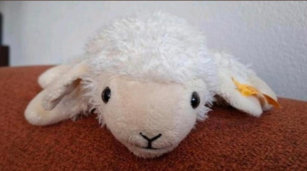Steiff, knopf im ohr.
Floppy Linda lamb.
Lammetje, schaap, Ophalen of Verzenden, Zo goed als nieuw, Overige typen, Overige merken