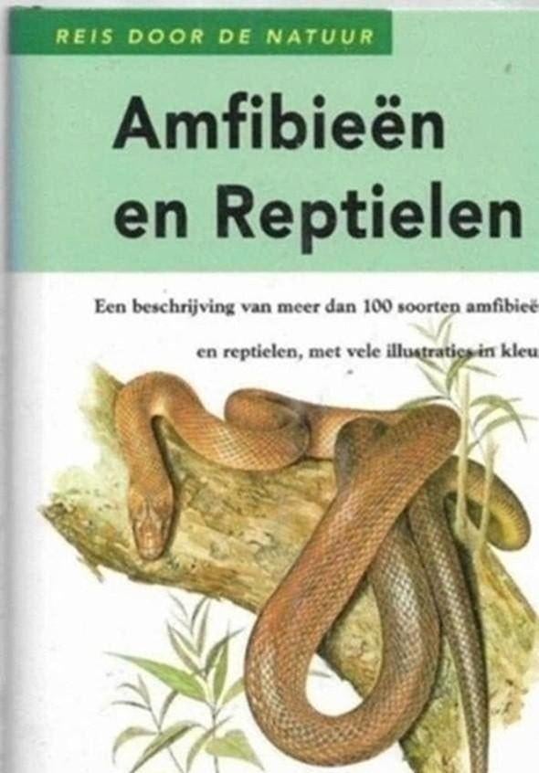 Amfibieen en reptielen, Ophalen of Verzenden, Zo goed als nieuw, Reptielen of Amfibieën