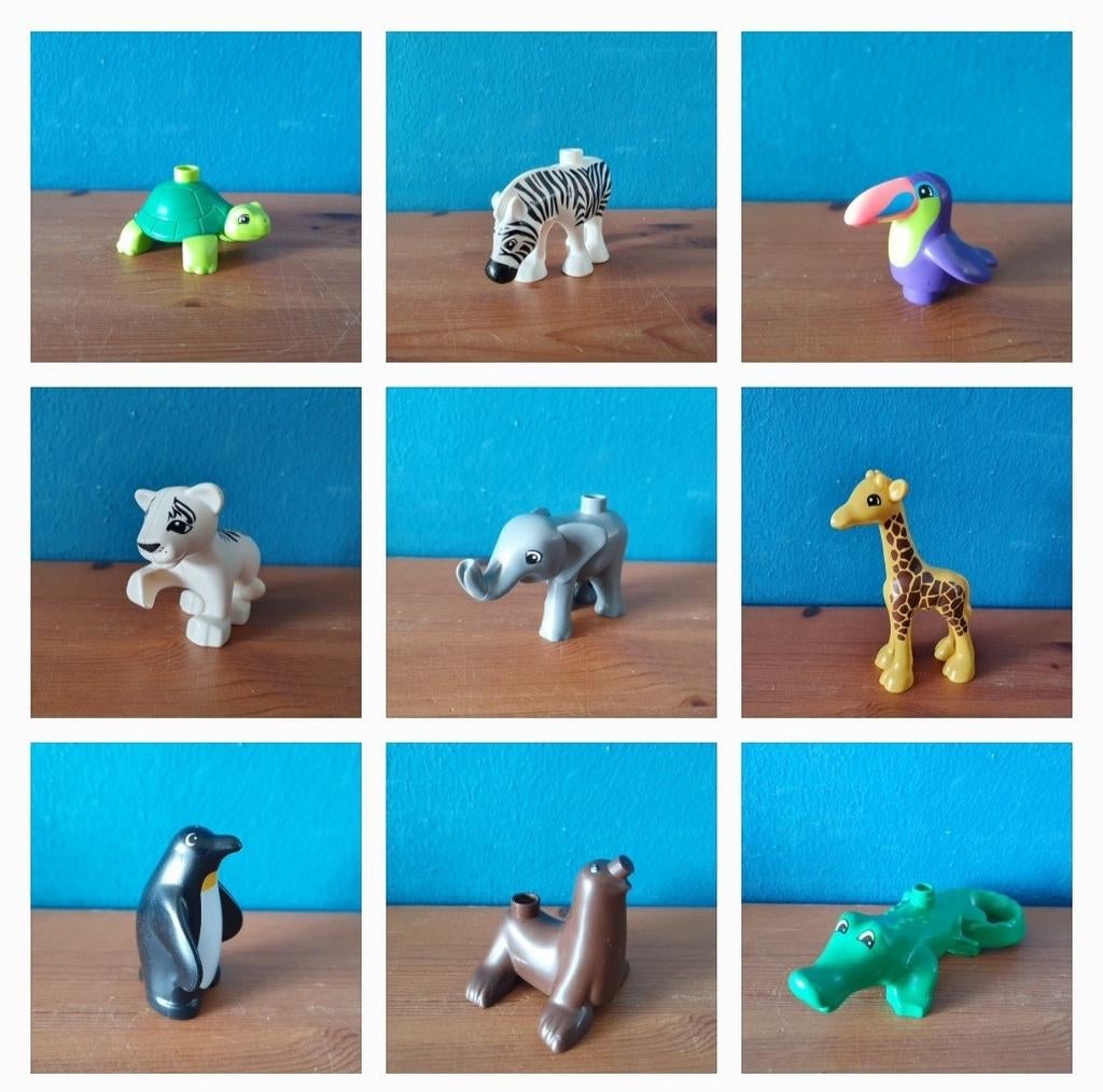 Duplo lego Dieren pinguïn krokodil zebra olifant schildpad, Kinderen en Baby's, Speelgoed | Duplo en Lego, Ophalen of Verzenden