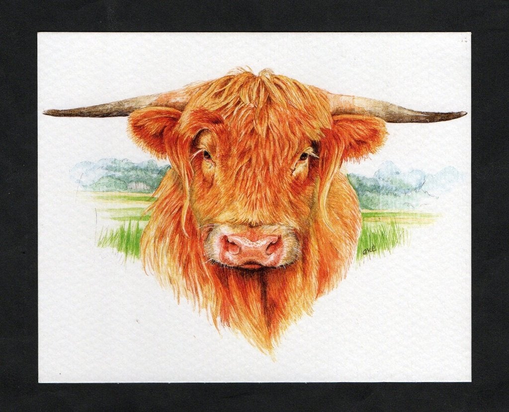 Schotse Hooglander Stier door Eke van Mansvelt., Verzamelen, Ophalen of Verzenden, 1980 tot heden, Ongelopen, Overige soorten