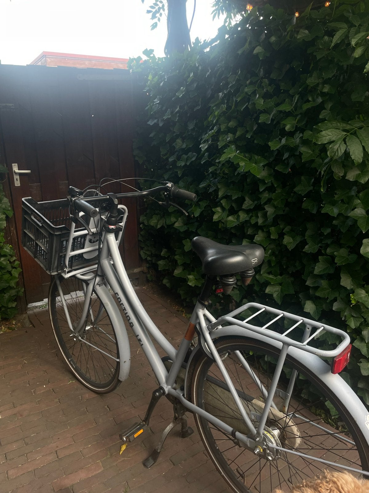 Mooie Cortina fiets - opknappertje, Ophalen, Gebruikt, Overige merken, Versnellingen