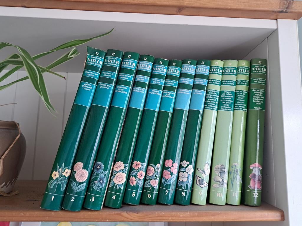 Spectrum Natuur Encyclopedie Compleet (12 delen) - 1978, Boeken, Encyclopedieën, Ophalen of Verzenden, Zo goed als nieuw