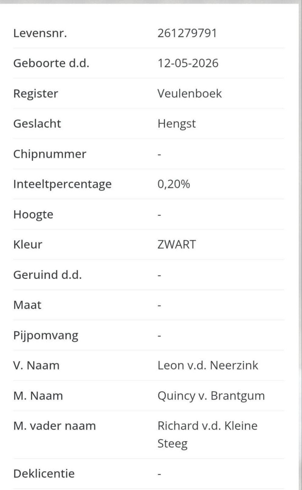 NSPS shetland hengstveulen. Zwart., Hengst