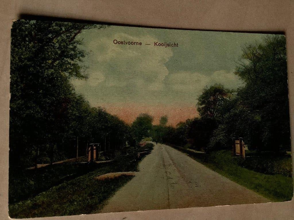 Oostvoorne 1905 Kooizicht, Ophalen of Verzenden, Voor 1920, Gelopen, Zuid-Holland