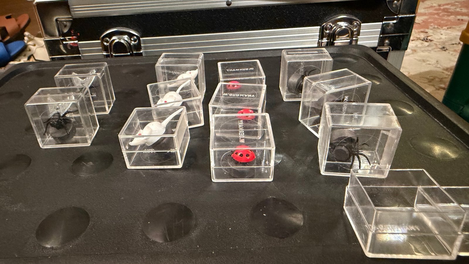 Magneetjes in doosjes: muizen, lieveheersbeestjes, spinnen, Verzamelen, Ophalen of Verzenden, Nieuw