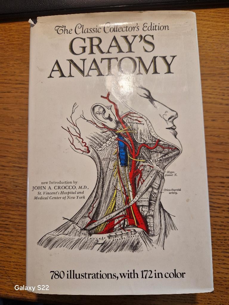 Boek 'Gray's Anatomy', Boeken, Ophalen of Verzenden, Beta, Zo goed als nieuw, HBO