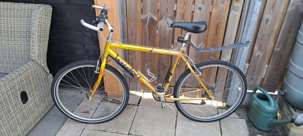 Giant fiets - Goud- Gebruikt, Fietsen en Brommers, Ophalen, Gebruikt, Velgrem, Giant