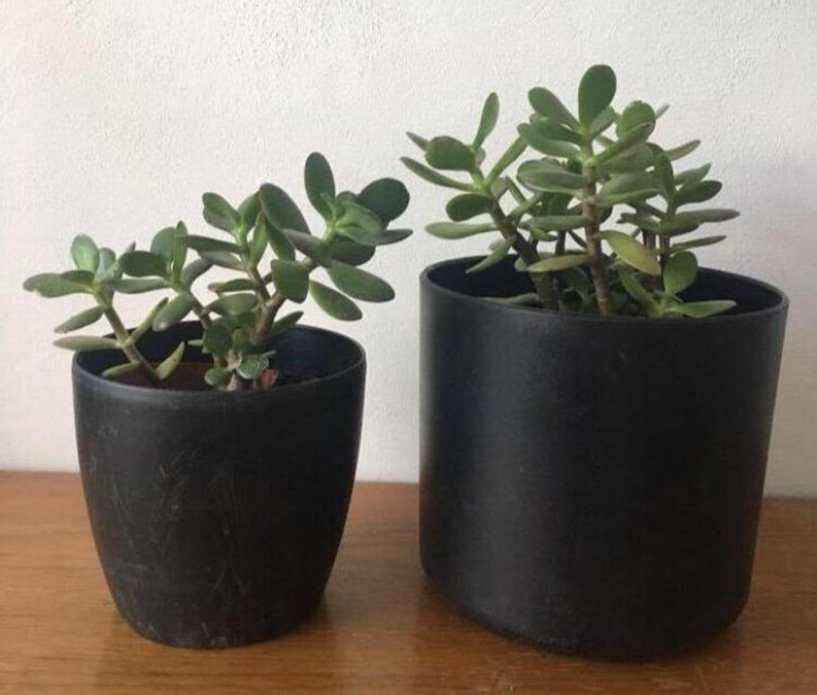 Leuke zwarte bloempotten diverse maten, Tuin en Terras, Bloempotten, Ophalen, Kunststof, Gebruikt, Rond