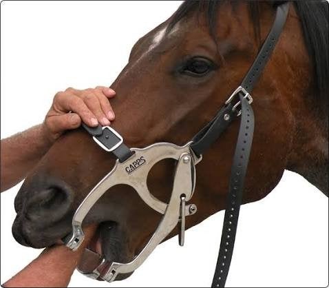 mondbeugel paarden, Ophalen, Gebruikt, Overige disciplines