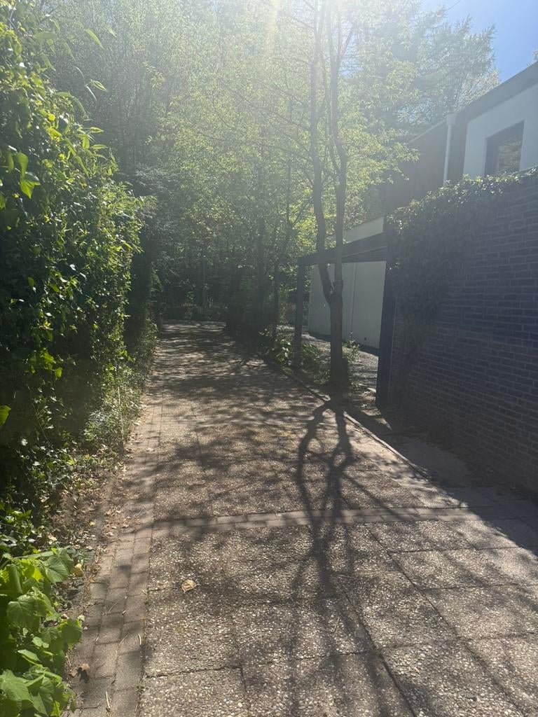 Straatwerk gratis. Zelf uithalen, Tuin en Terras, Planten | Bomen, Ophalen, Halfschaduw, Overige soorten, 100 tot 250 cm