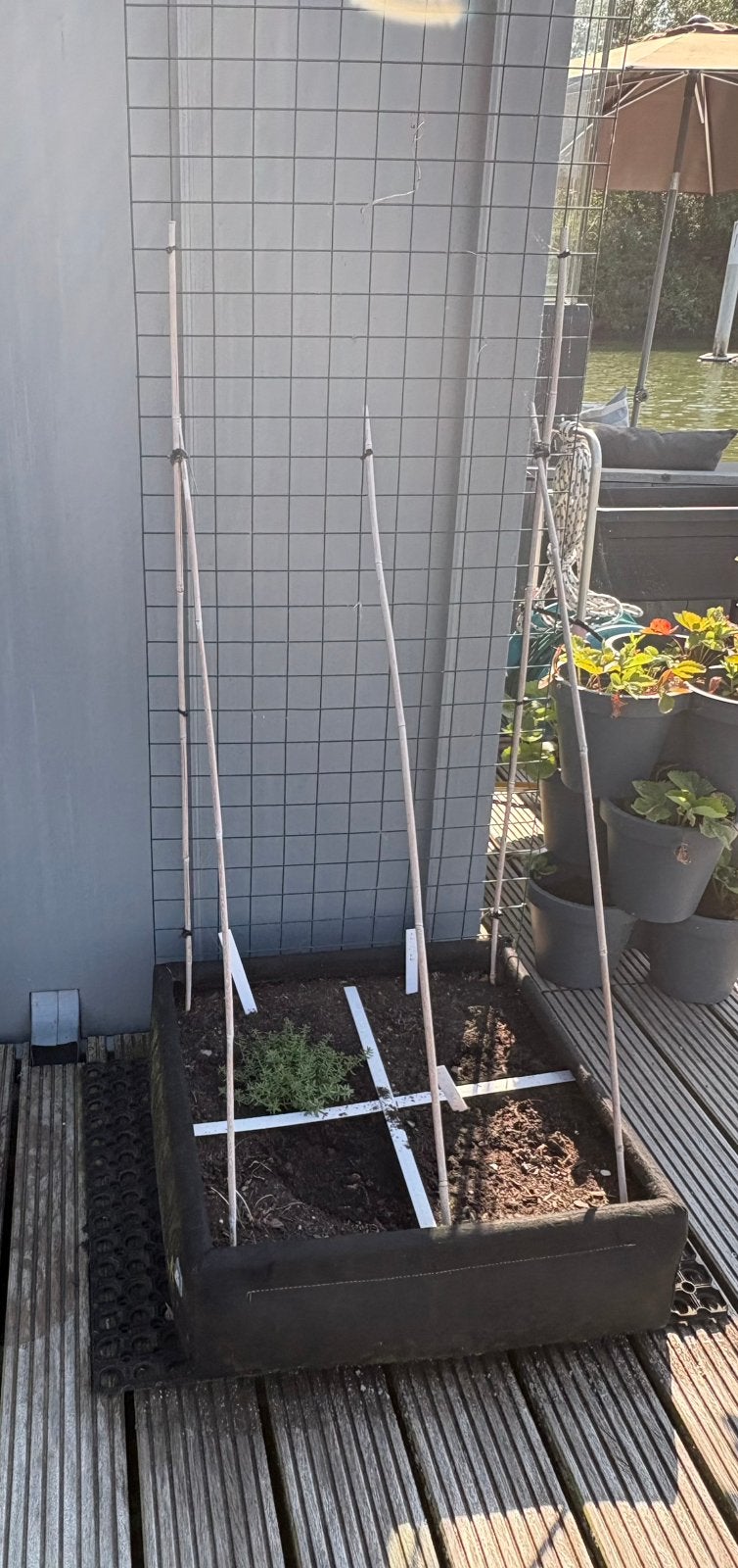 Makkelijke Moestuin Airbak, moestuinbak, kweekbak, Tuin en Terras, Kweekspullen, Ophalen, Kweekbak