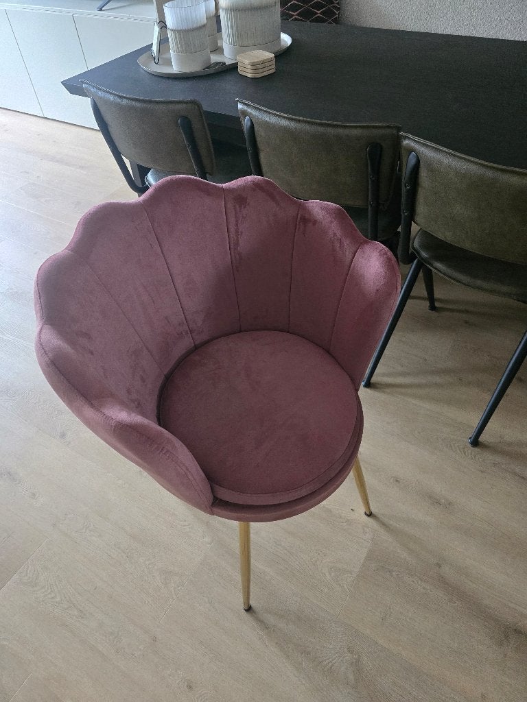 Schelpenstoel, Ophalen, Nieuw, Overige kleuren, Eén