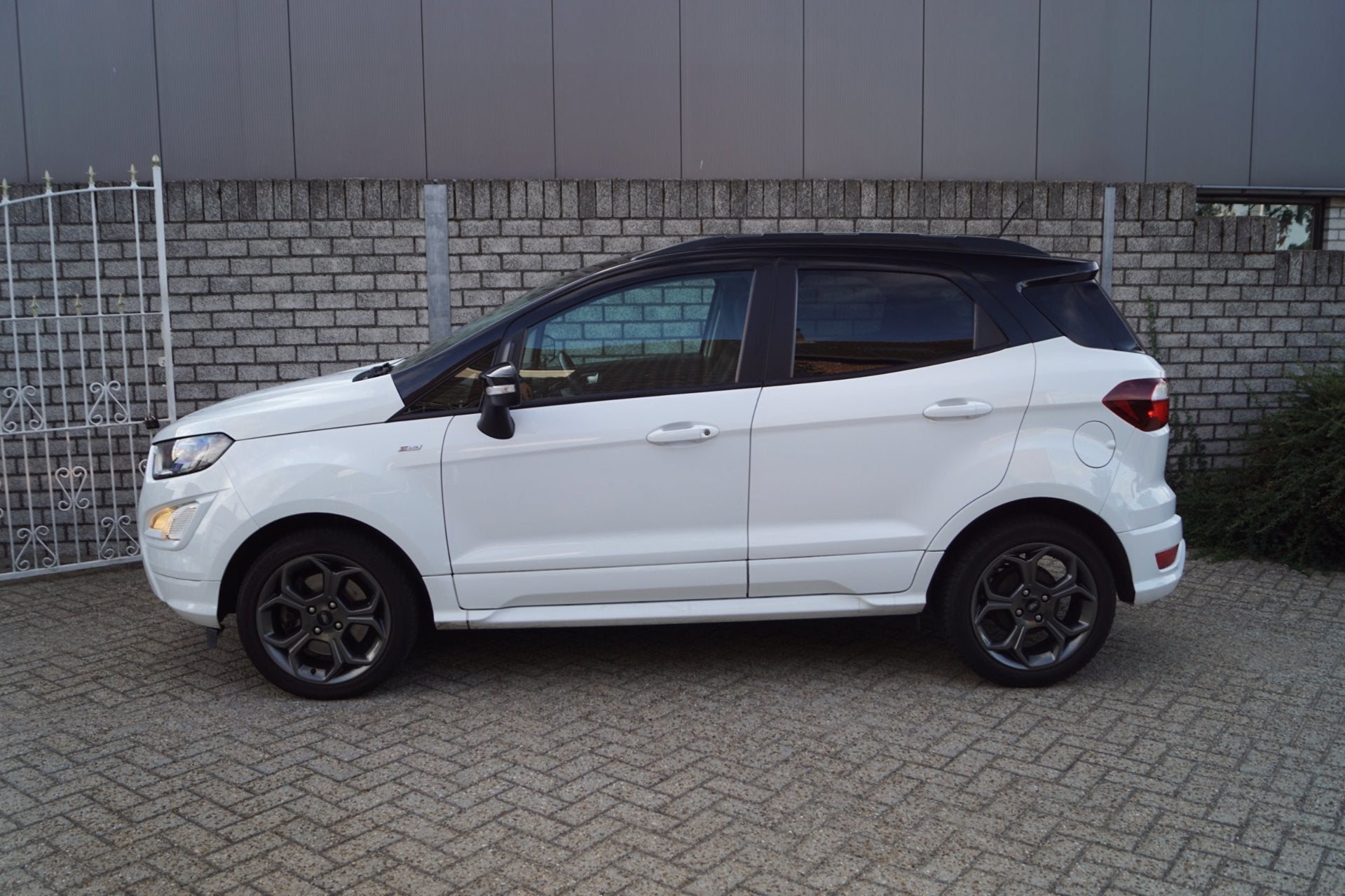 Ford EcoSport 1.0 EcoBoost ST-Line Navi Leder/Alcantara Spor, Dealer onderhouden, 125 pk, Ecosport, Wit