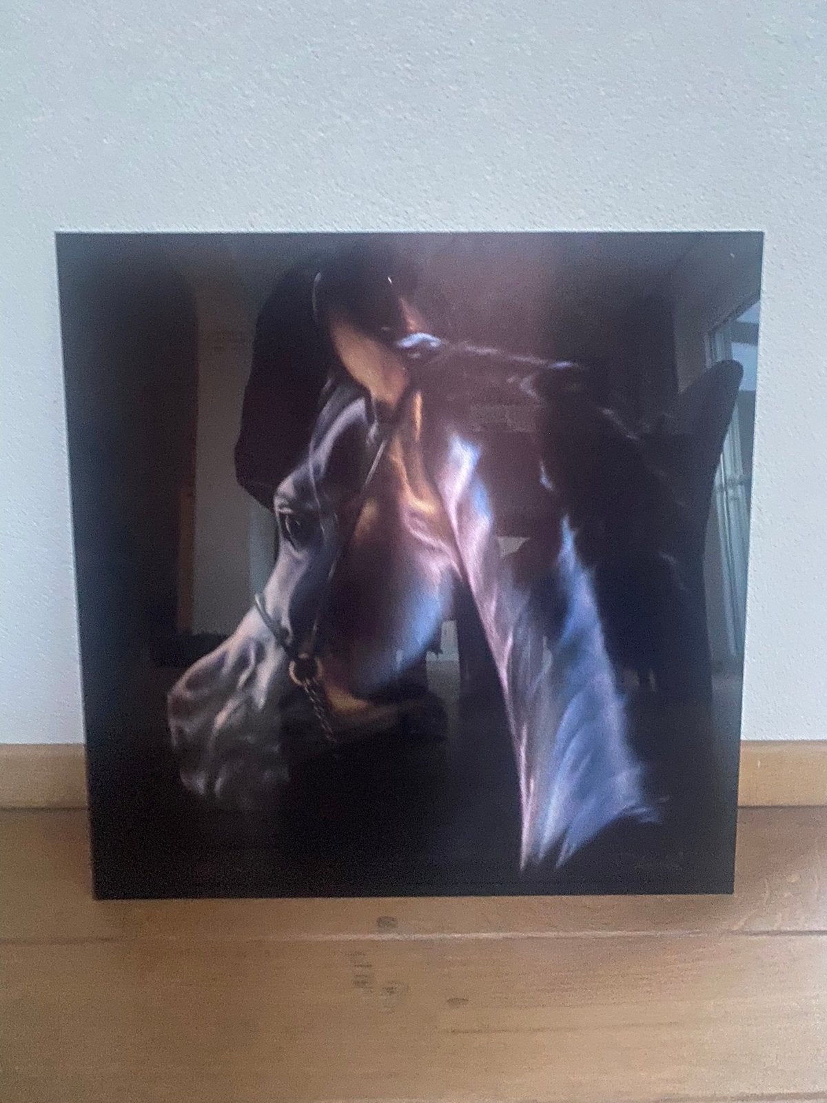 Paard op glas, Ophalen of Verzenden, Zo goed als nieuw, Minder dan 50 cm, Schilderij