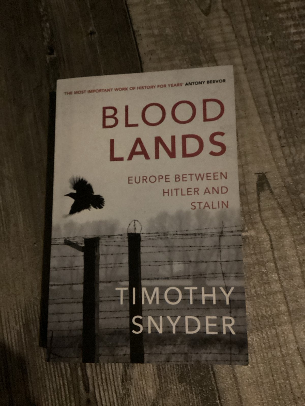 Bloodlands: Europa tussen Hitler en Stalin - Timothy Snyder, Boeken, Ophalen of Verzenden, 20e eeuw of later, Zo goed als nieuw