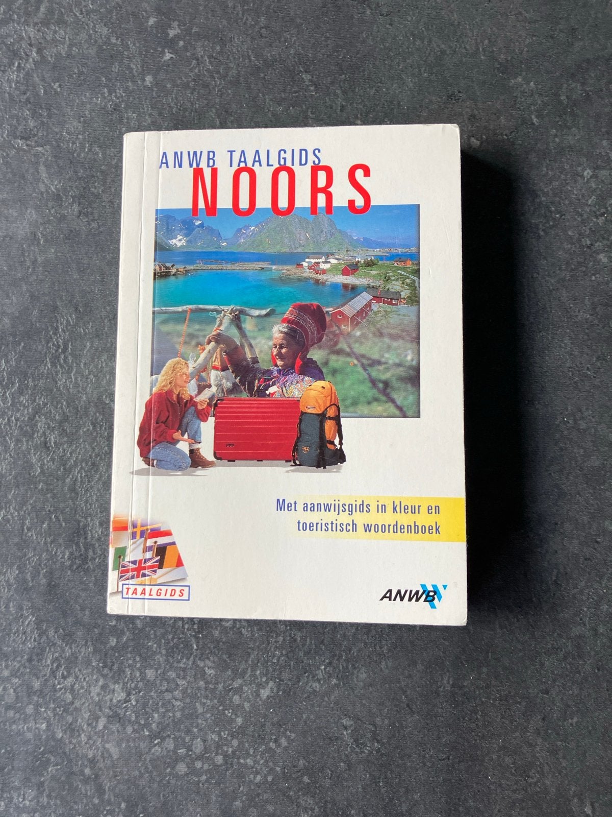 ANWB Taalgids Noors (1999)), Boeken, Ophalen of Verzenden, Zo goed als nieuw, Non-fictie