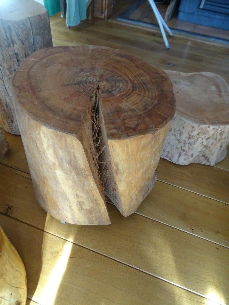 boomstam hocker bijzettafel salontafel zuil plantenstaander, 45 tot 60 cm, Minder dan 55 cm, Nieuw, Ophalen of Verzenden