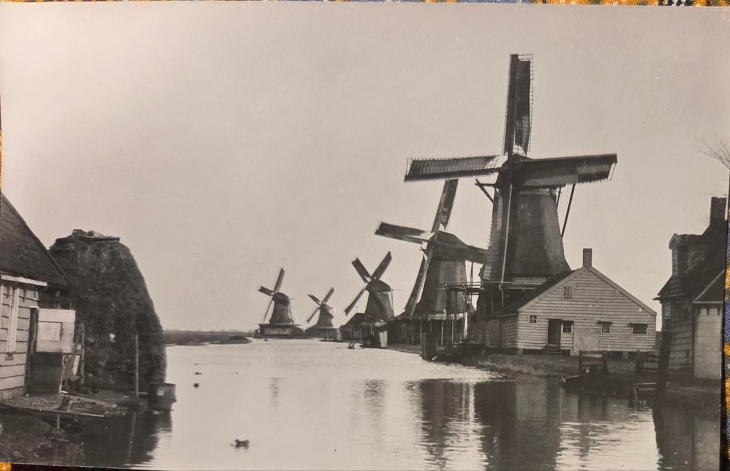 Zaandam molen de Sluiswachter, Verzamelen, Foto's en Prenten, Ophalen of Verzenden, Voor 1940, Zo goed als nieuw, Overige onderwerpen