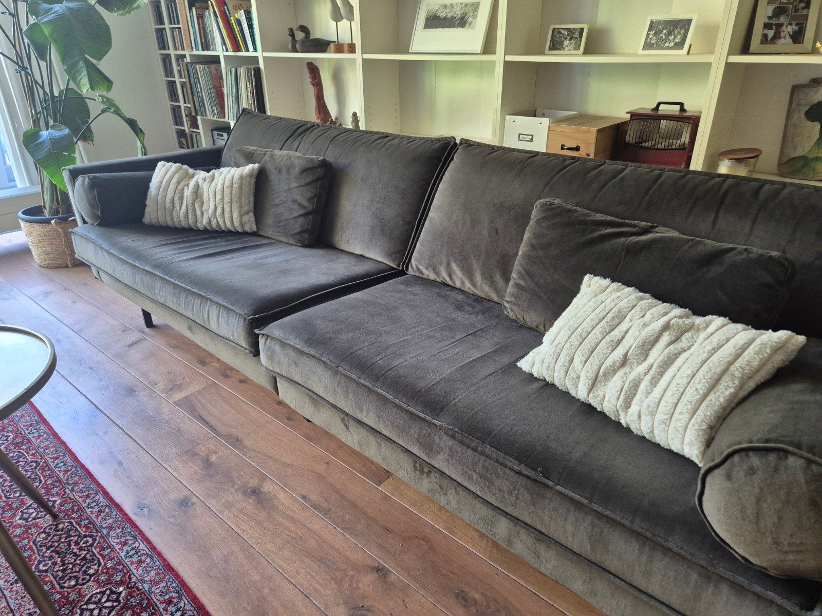 Sissy-Boy bank, groen, 2,5 zits, 275x85 cm, Ophalen, 250 tot 300 cm, Gebruikt, Driepersoons