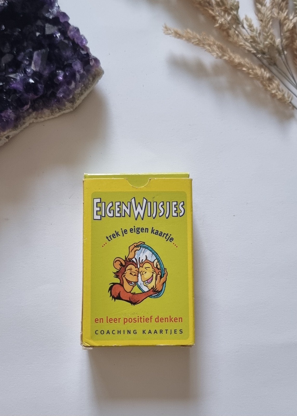 Eigenwijsjes, Ophalen of Verzenden, Zo goed als nieuw, Brigitte Westerkamp; Lo van Beers
