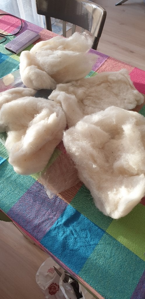 Gekaarde en gewassen schapenwol, Hobby en Vrije tijd, Ophalen of Verzenden, Nieuw, Overige typen