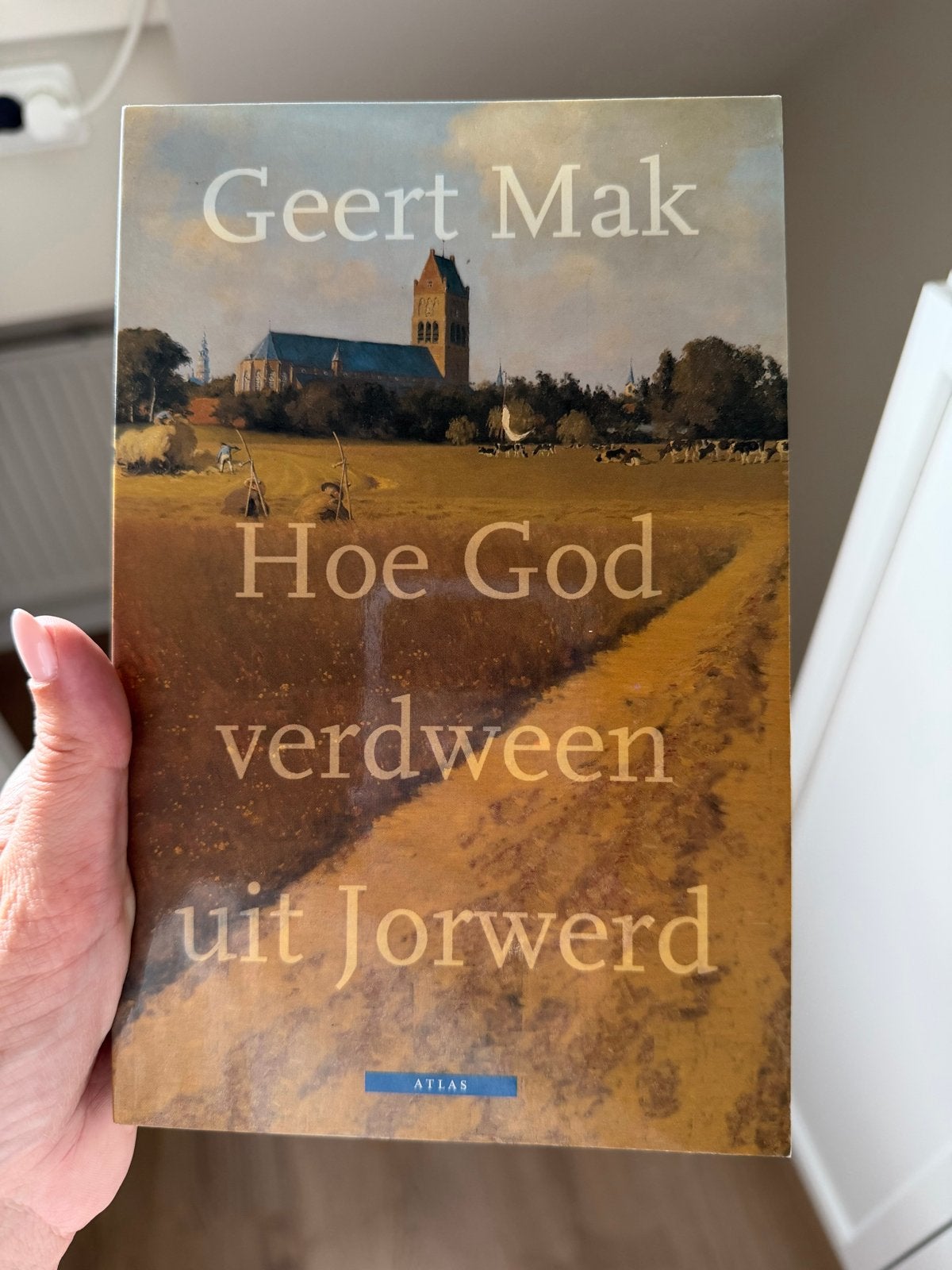 Hoe God verdween uit Jorwerd - Geert Mak (Gelezen), Boeken, Literatuur, Ophalen of Verzenden, Gelezen