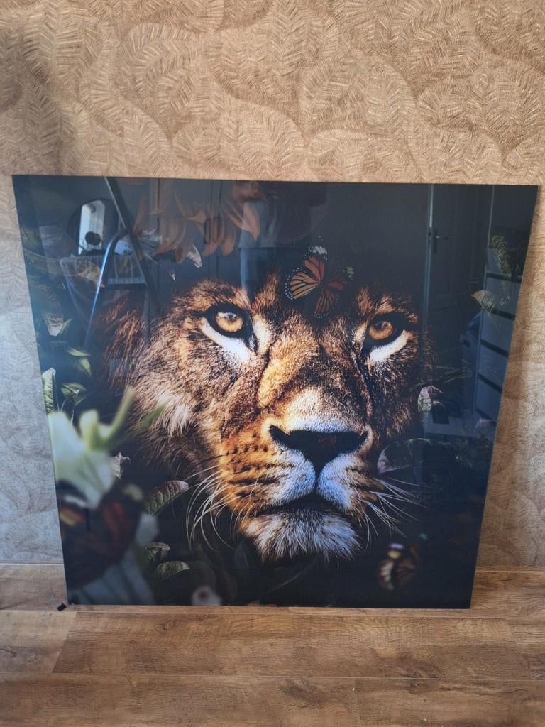 plexiglas schilderrij leeuw. 120x120, Ophalen, Zo goed als nieuw, Schilderij, 100 tot 125 cm