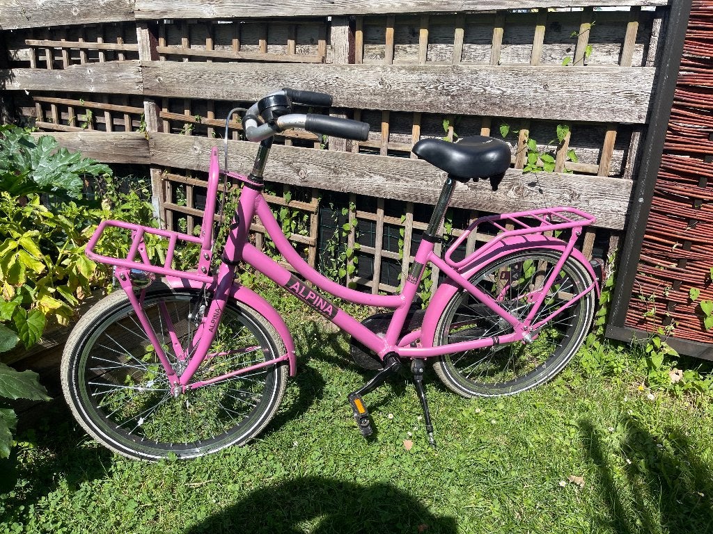 Alpina Cargo meisjesfiets 20 inch., Fietsen en Brommers, Fietsen | Meisjes, Ophalen, Terugtraprem, Gebruikt, ALPINA