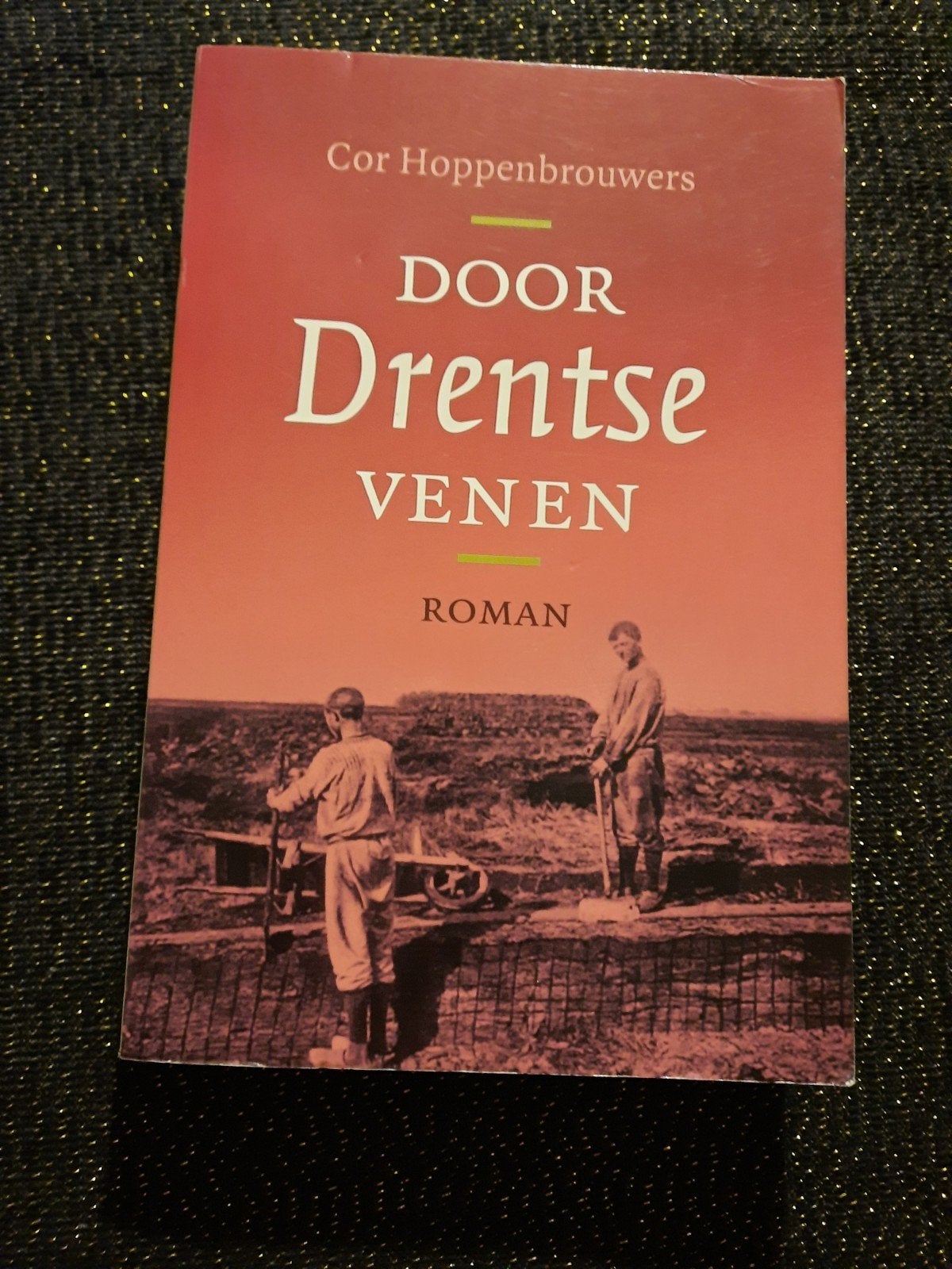 Door Drentse Venen - Cor Hoppenbrouwers (paperback), Boeken, Ophalen of Verzenden, Gelezen, Cor Hoppenbrouwers