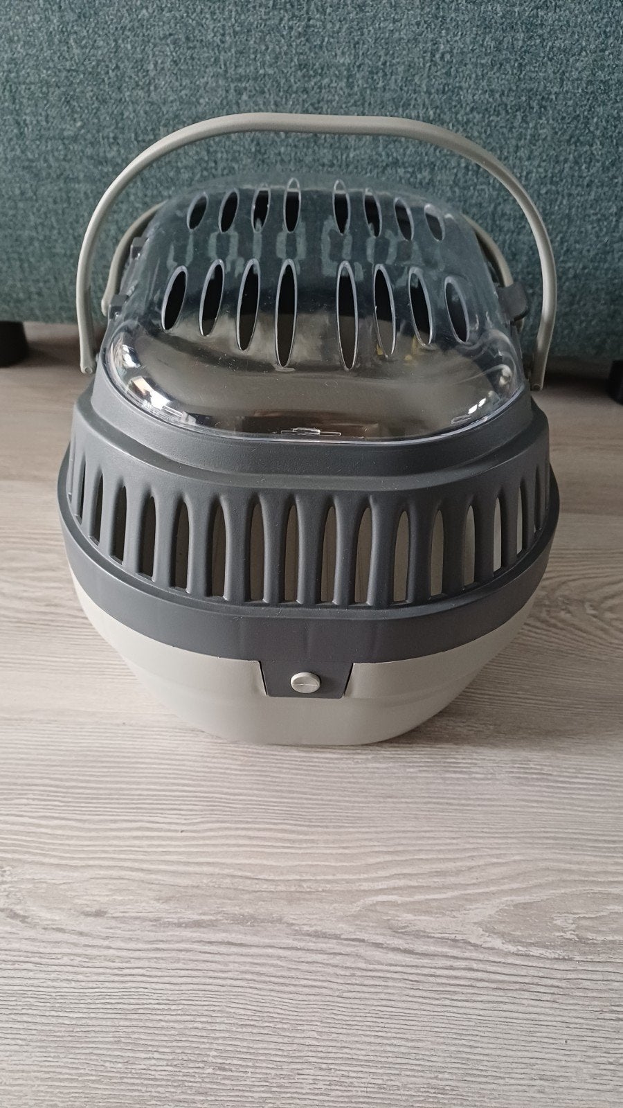 Vervoerbox konijn of kitten, Mannelijk, Dwerg