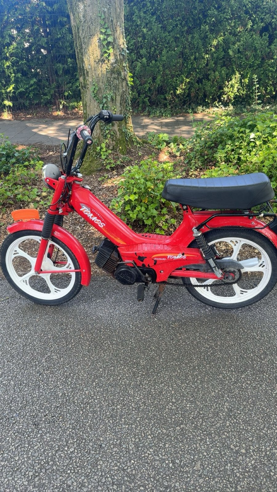 Tomos Standard Snorfiets - Rood, Goed Onderhouden, Ophalen of Verzenden, Gebruikt, Maximaal 25 km/u, Standard
