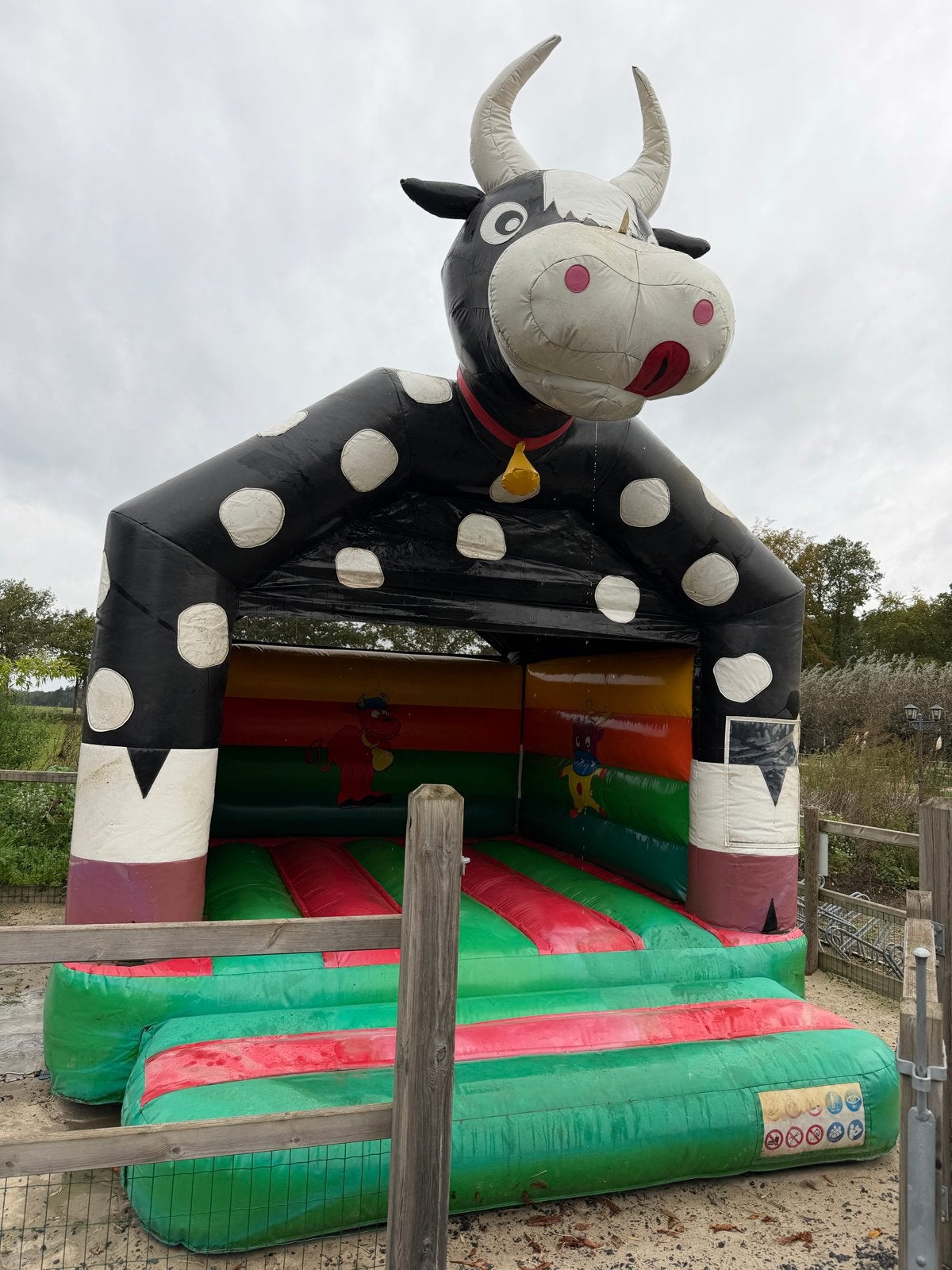 Springkussen Koe te koop (gebruikt) - 5,2 x 4 x 4,8m, Ophalen, Gebruikt
