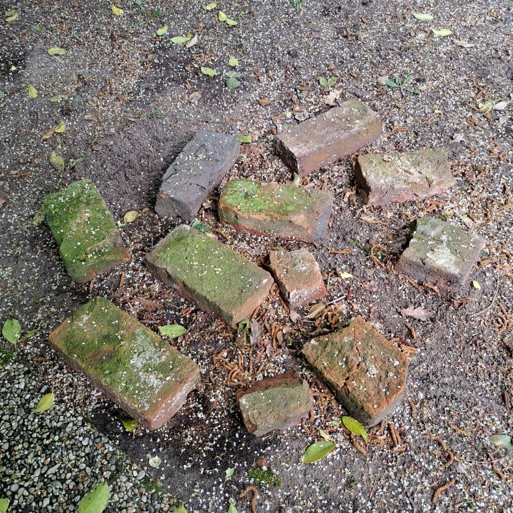 bakstenen voor b.v. langs een vijver of waterval, Ophalen, Gebruikt, Overige materialen, Overige typen