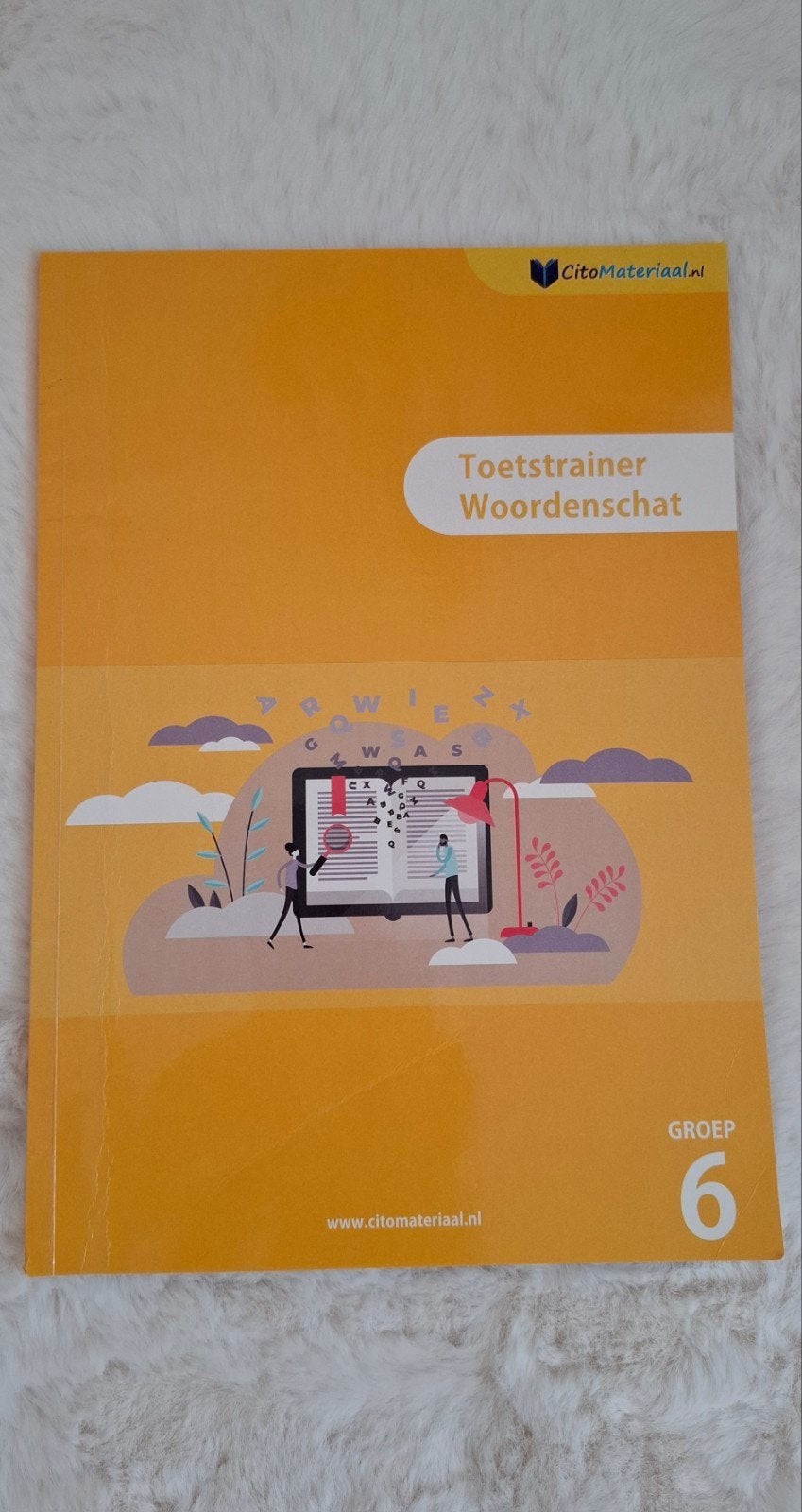 Toetstrainer Woordenschat Groep 6 CitoMateriaal, Ophalen of Verzenden, Zo goed als nieuw, Overige niveaus, Nederlands