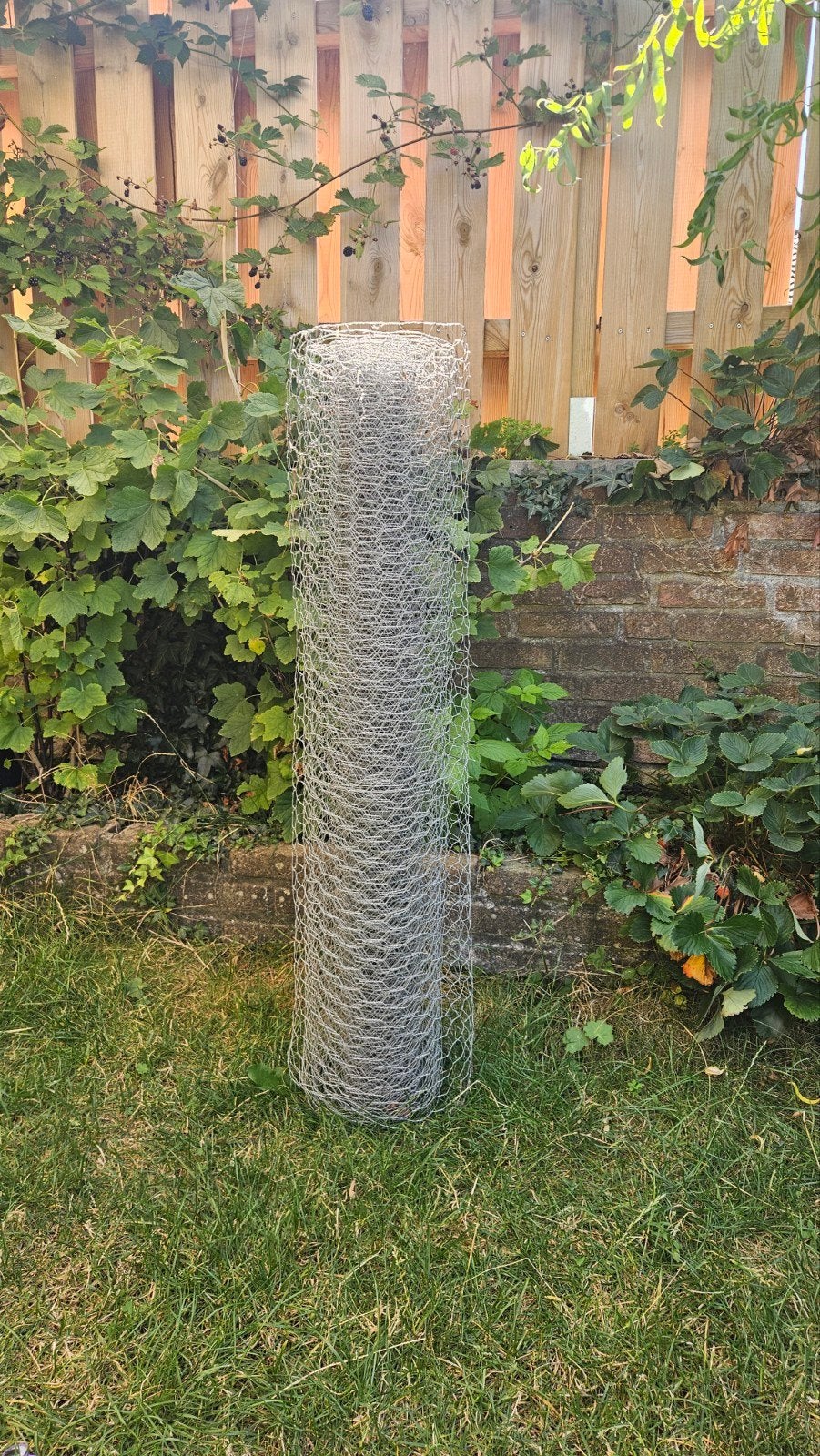 rol kippengaas, Tuin en Terras, Ophalen