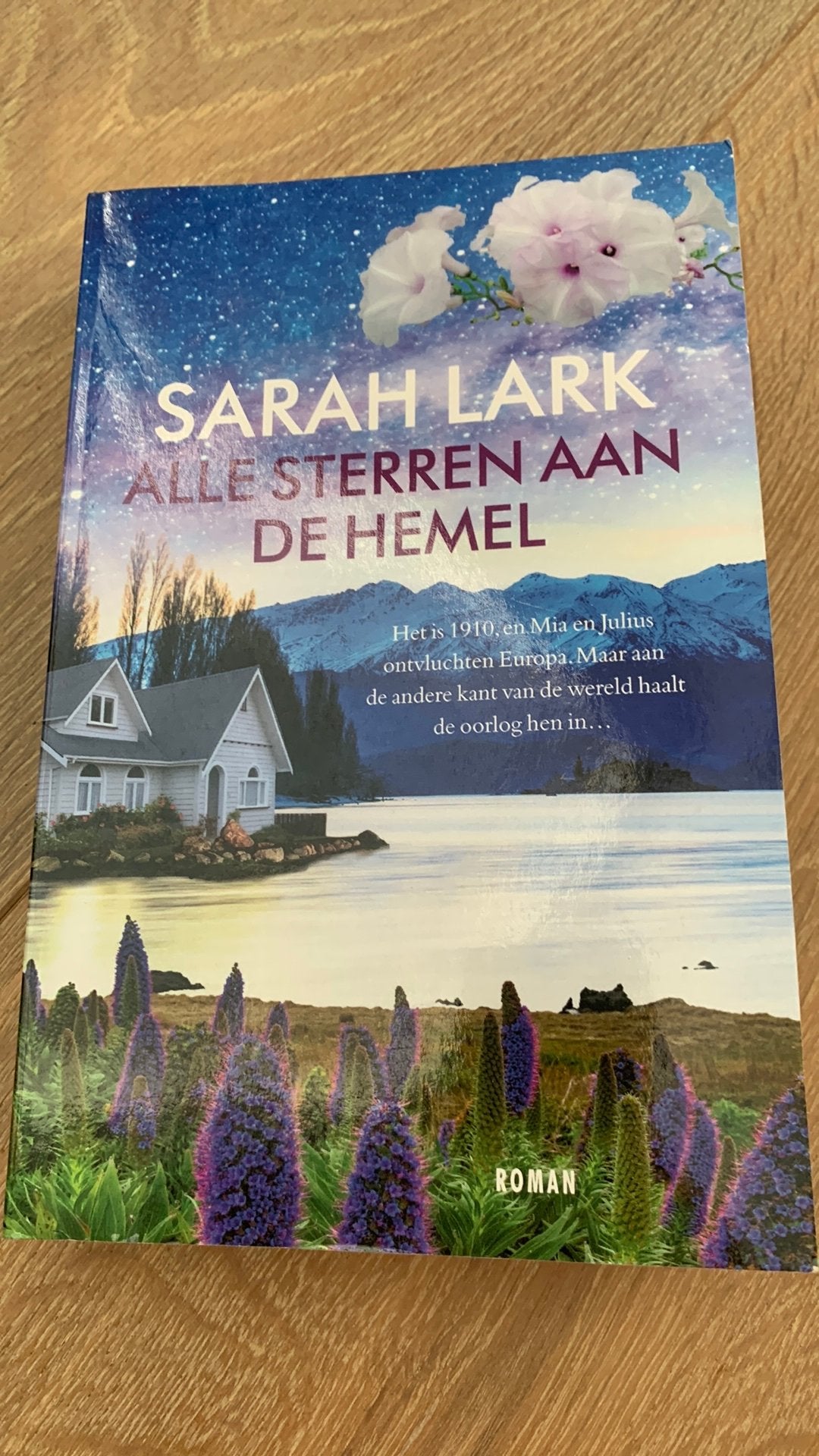 Alle sterren aan de hemel, Ophalen of Verzenden, Zo goed als nieuw