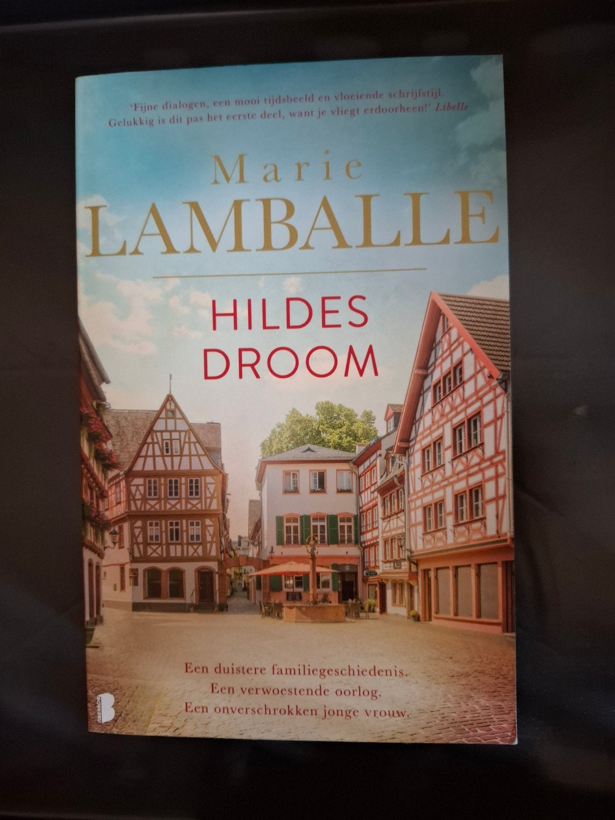 Hildes Droom - Marie Lamballe (Roman), Ophalen of Verzenden, Zo goed als nieuw, Marie Lamballe, Nederland