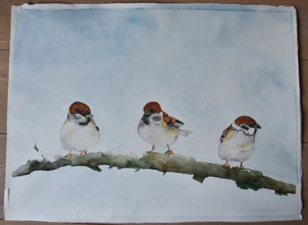 Handgemaakte aquarel van mussen op tak, Ophalen, Realistisch, Dieren, Aquarel