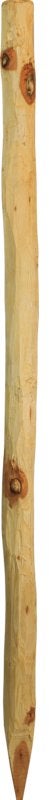 Robinia paal rond, 2,00 m
