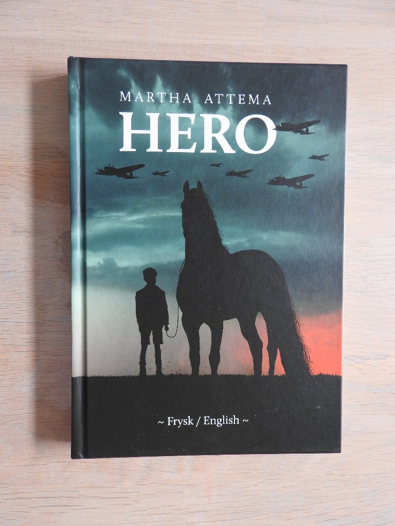 Hero - Ta neitins fan Jan Hoogterp - Frysk / English, Ophalen of Verzenden, Tweede Wereldoorlog, Zo goed als nieuw, Overige onderwerpen