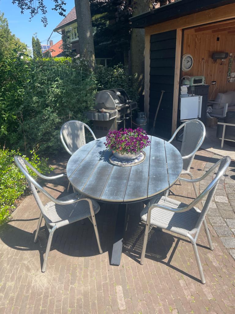 Tuinset met ovale tafel en 6 stoelen, Ophalen, Gebruikt, Eettafel, 6 zitplaatsen