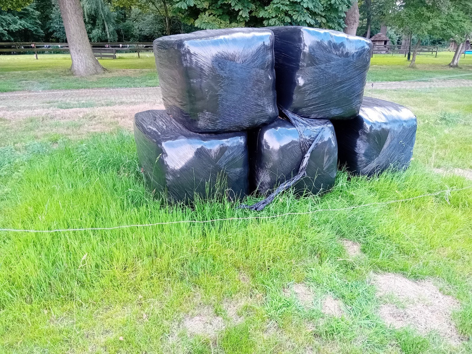 Hooi te koop, Dieren en Toebehoren, Ophalen of Verzenden, Vee