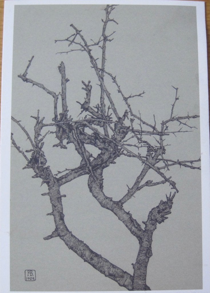 H.P. Bremmer - Kale boomtakken met doornen - 1909 - nieuw, Ophalen of Verzenden, 1980 tot heden, Ongelopen, Overige thema's