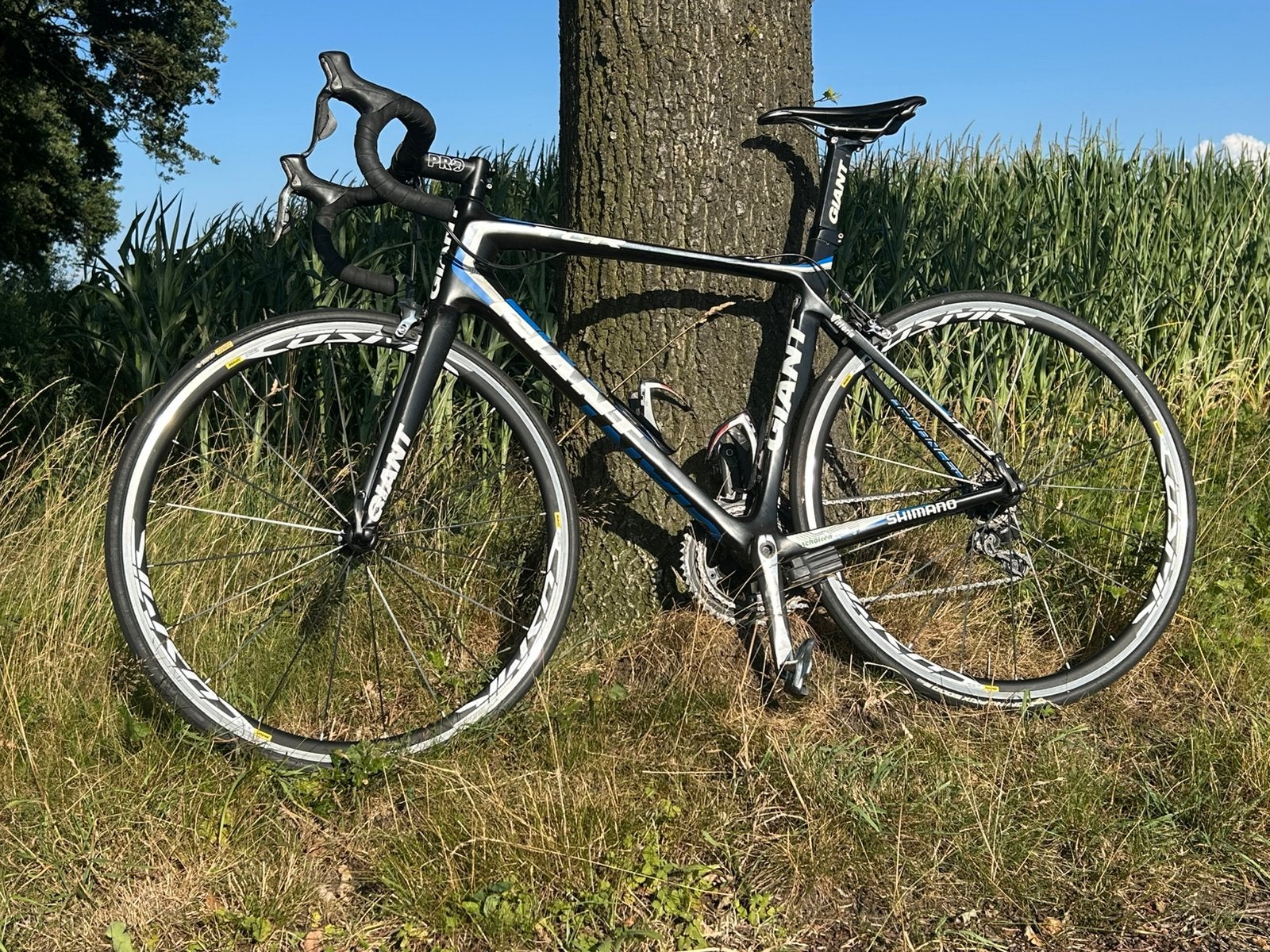 Giant TCR Advanced SL54cm (Ex-Pro Tom Dumoulin)–Dura-Ace, Ophalen, 28 inch, Gebruikt, Velgrem