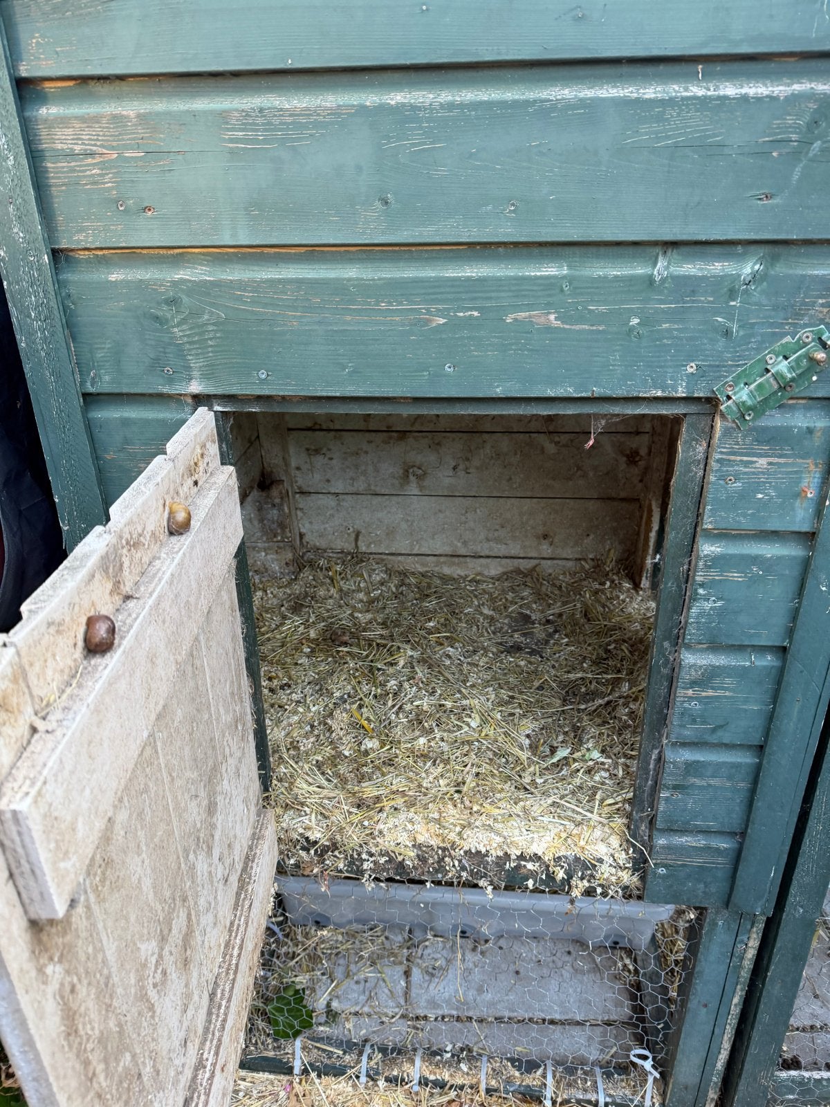 Konijnenhok met ren gratis, Dieren en Toebehoren, Knaagdieren en Konijnen | Hokken en Kooien, Ophalen, 90 cm of meer, Konijn, Hok